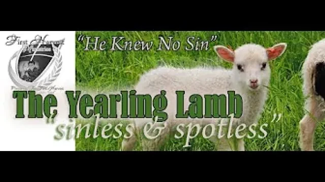 The Yearling Lamb by First Harvest Ministries