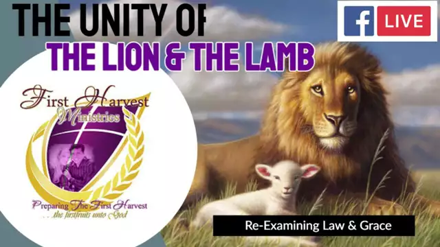 Shane Vaughn Preaches -  The Unity Of the Lion and The Lamb