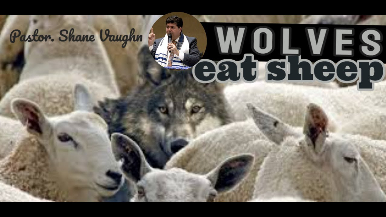 Pastor Shane Vaughn Preaching Wolves Eat Sheep, that's just what they do